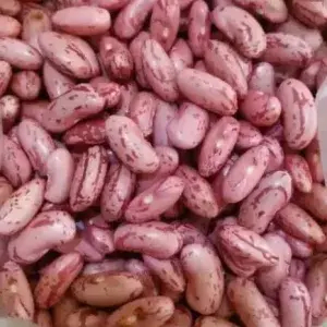 

KACANG MERAH FRESH 100gram