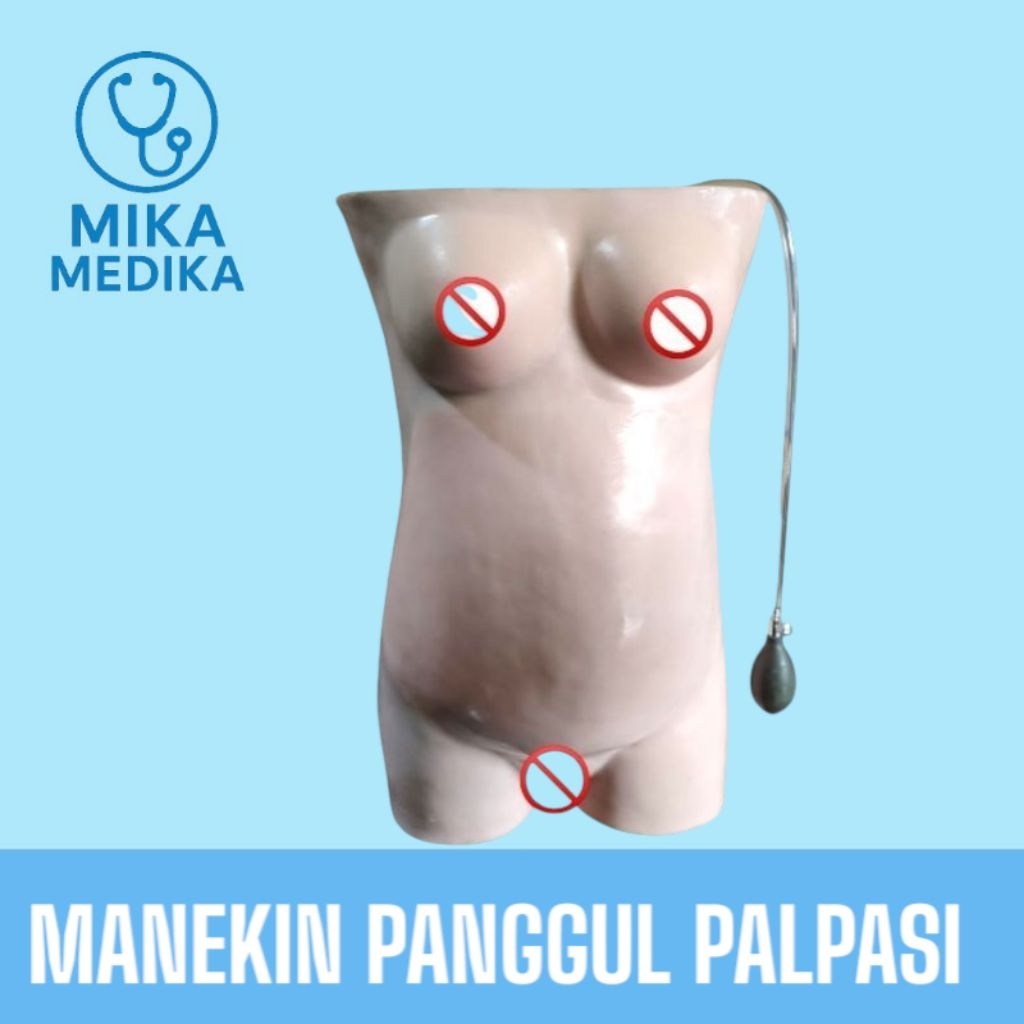 Phantom Manikin Panggul Palpasi / Manekin Panggul Palpasi