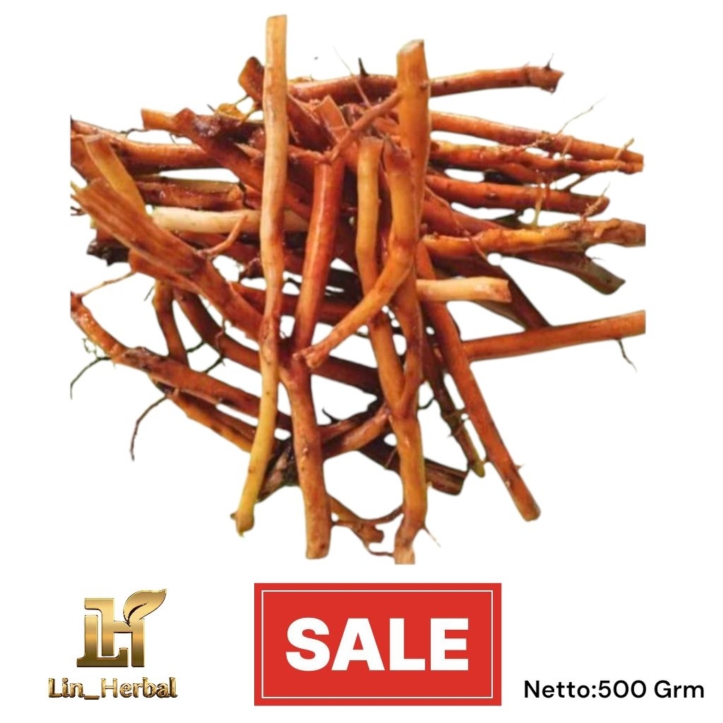 

Akar Aren Segar-Akar Bersih Higienis Kemasan 500 Grm