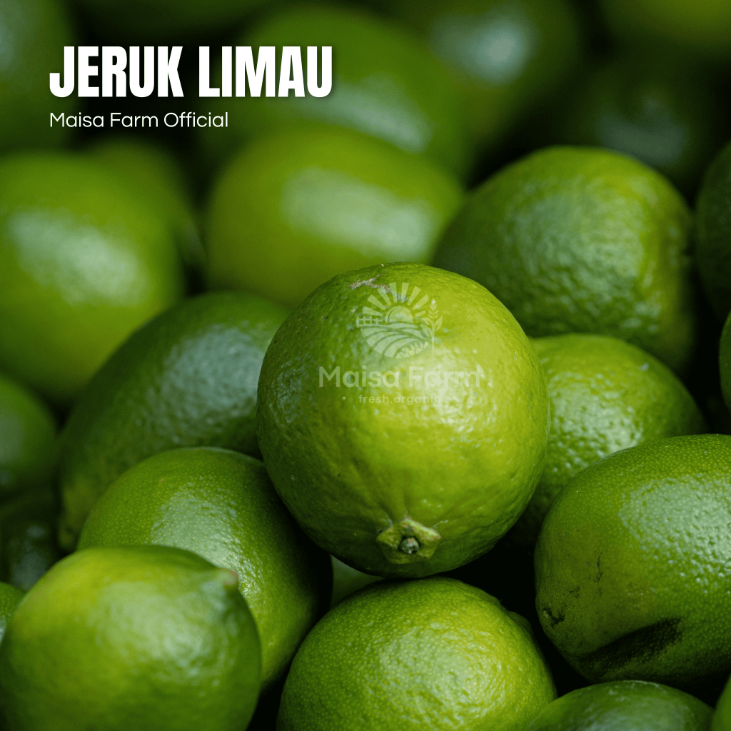 

Maisa Farm Cikarang - Jeruk Limau 100 gram segar