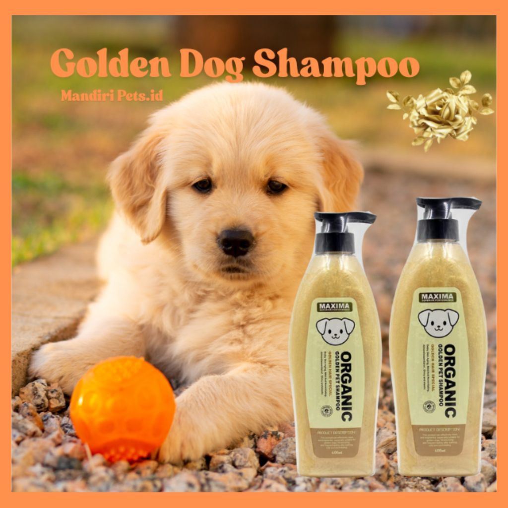 Maxima Golden Dog Shampoo - Shampoo Anjing Golden