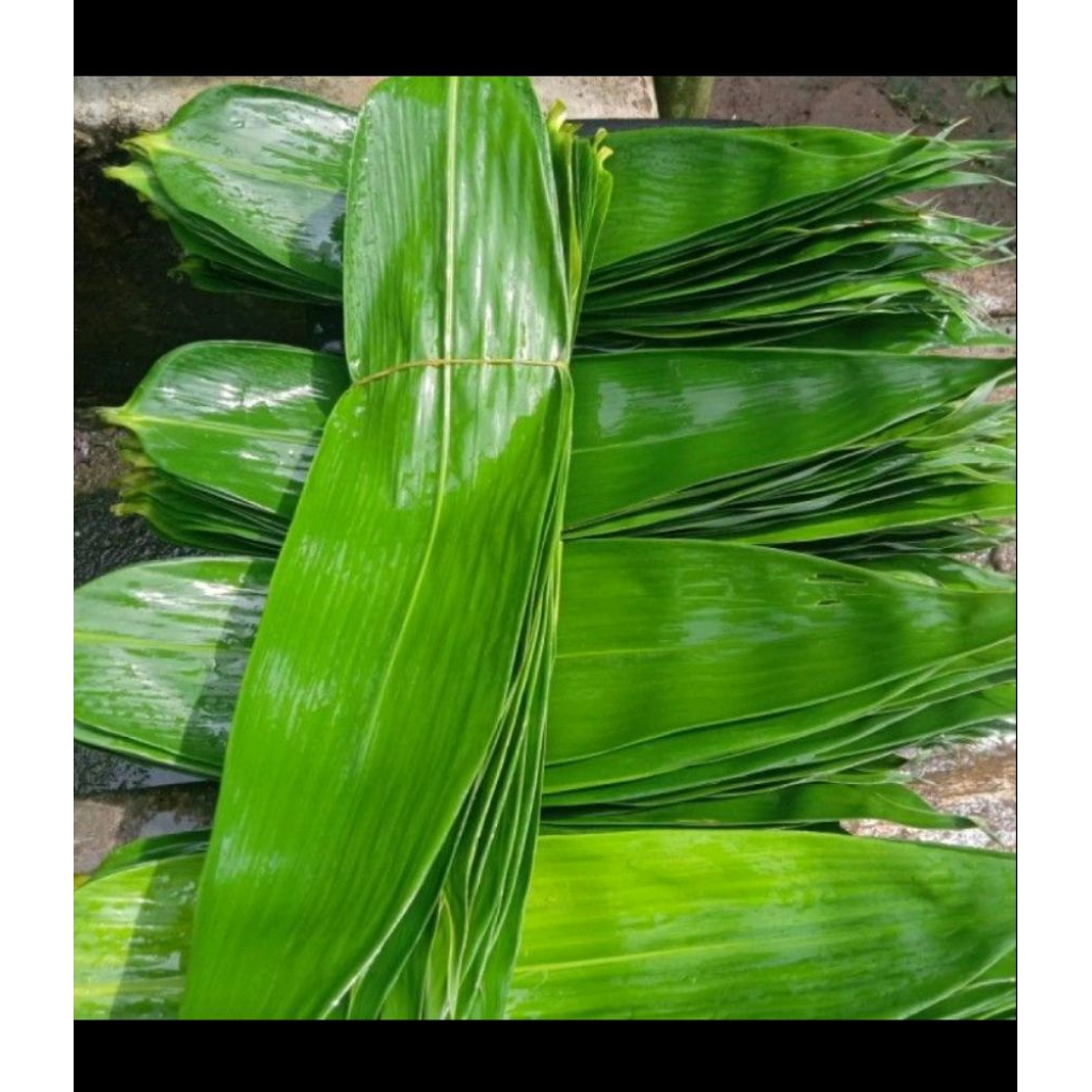 

promo daun bambu segar /fresh bersih higienis 100lembar bungkus makanan bakcang dadakan
