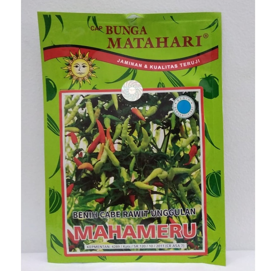 KODE D39J Benih  Bibit Cabe Rawit Putih Mahameru Matahari  1 Gram