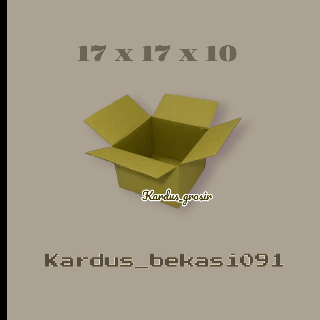 

kardus box packing 17x17x10