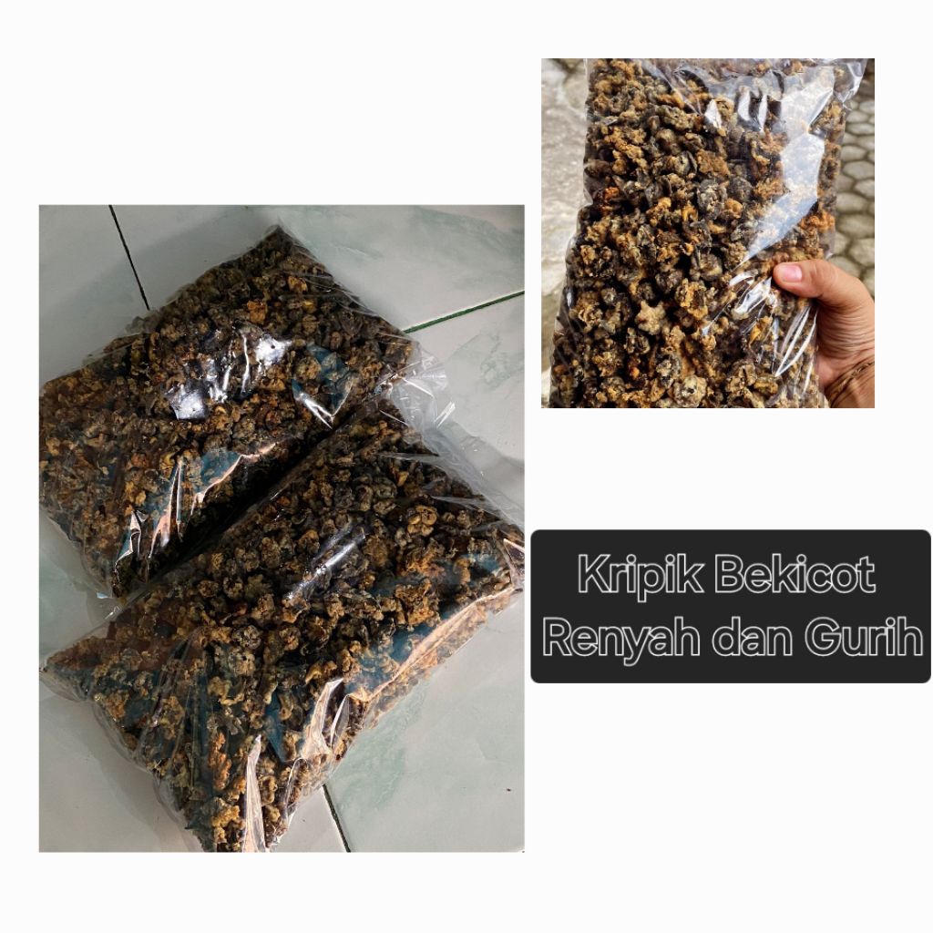 

Kripik Bekicot Enak Renyah dan Gurih
