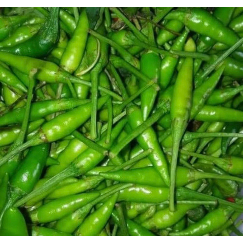 

cabe rawit hijau 500 gr