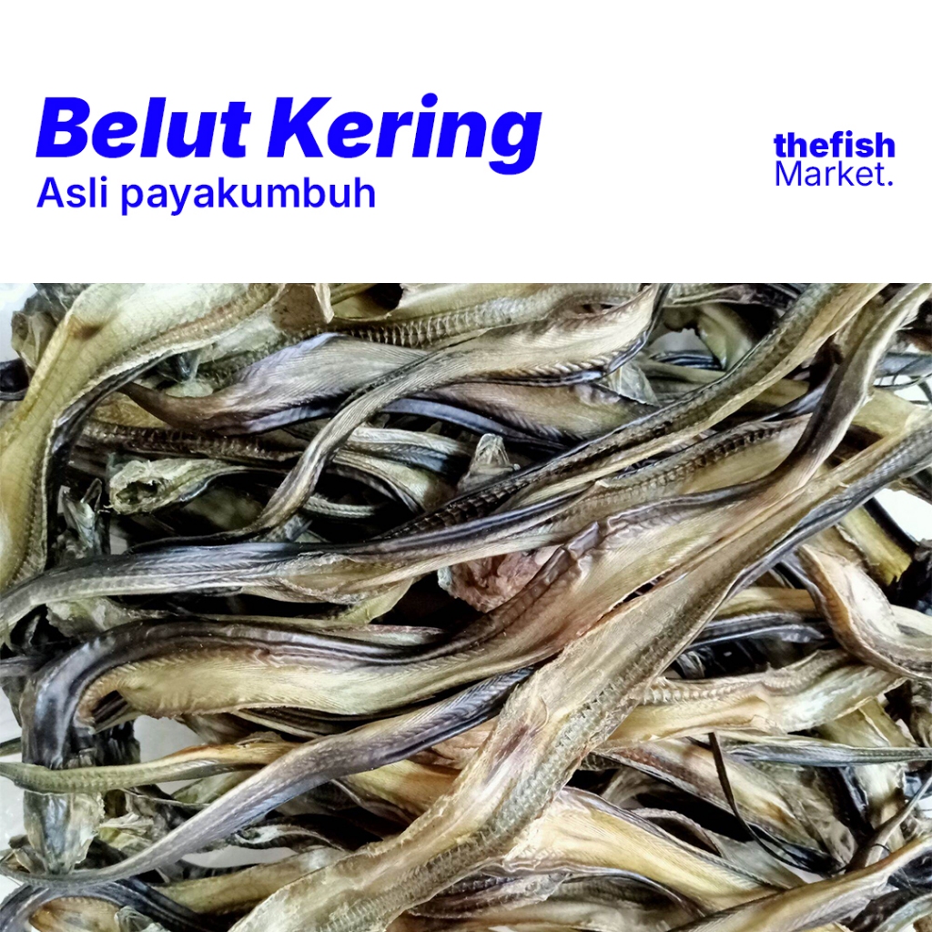 

BELUT KERING ASLI PAYAKUMBUH
