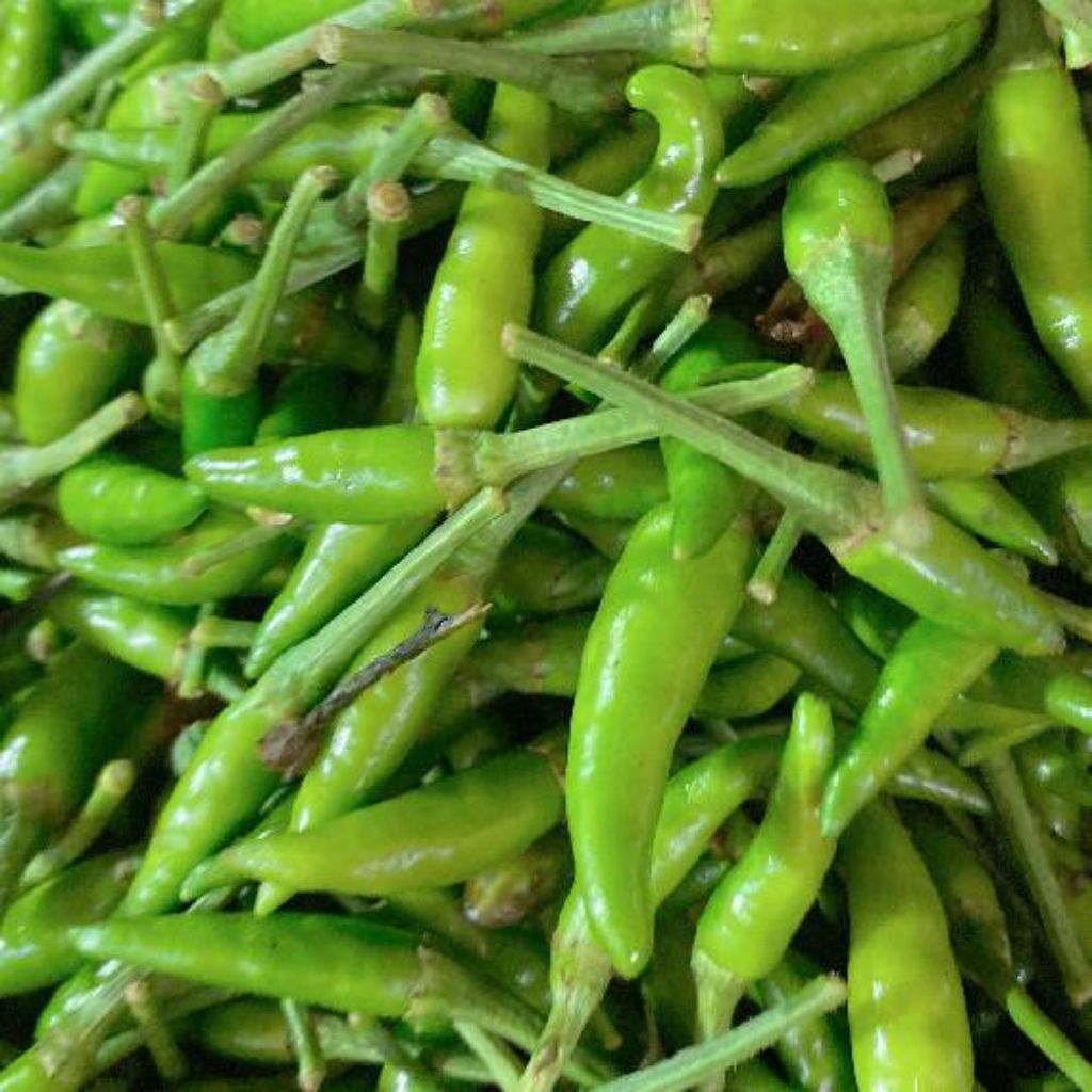 

Cabai Rawit Hijau Kecil Segar Tersedia Ukuran 250g/500g/1Kg