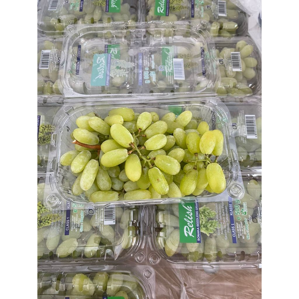 

Anggur Sonaka India Manis Seger Seedless