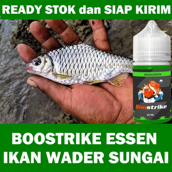 BOOSTRIKE ESSEN MANCING IKAN WADER SUNGAI ISI 30ML