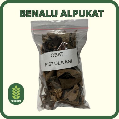 

Benalu Alpukat Herbal Tradisional untuk Fistula Ani Tanpa Efek Samping Langsung Terasa Khasiatnya