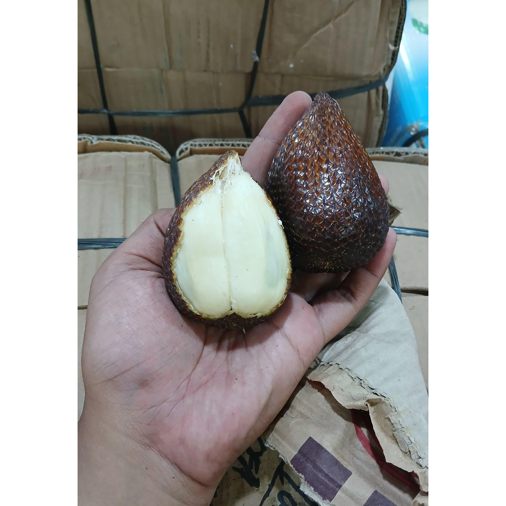 

Buah Salak Manis dan Segar 1 Kg