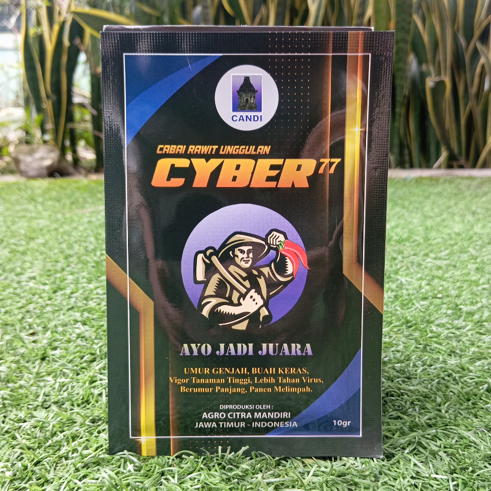 Benih Cabe Rawit CYBER 77 10 Gram