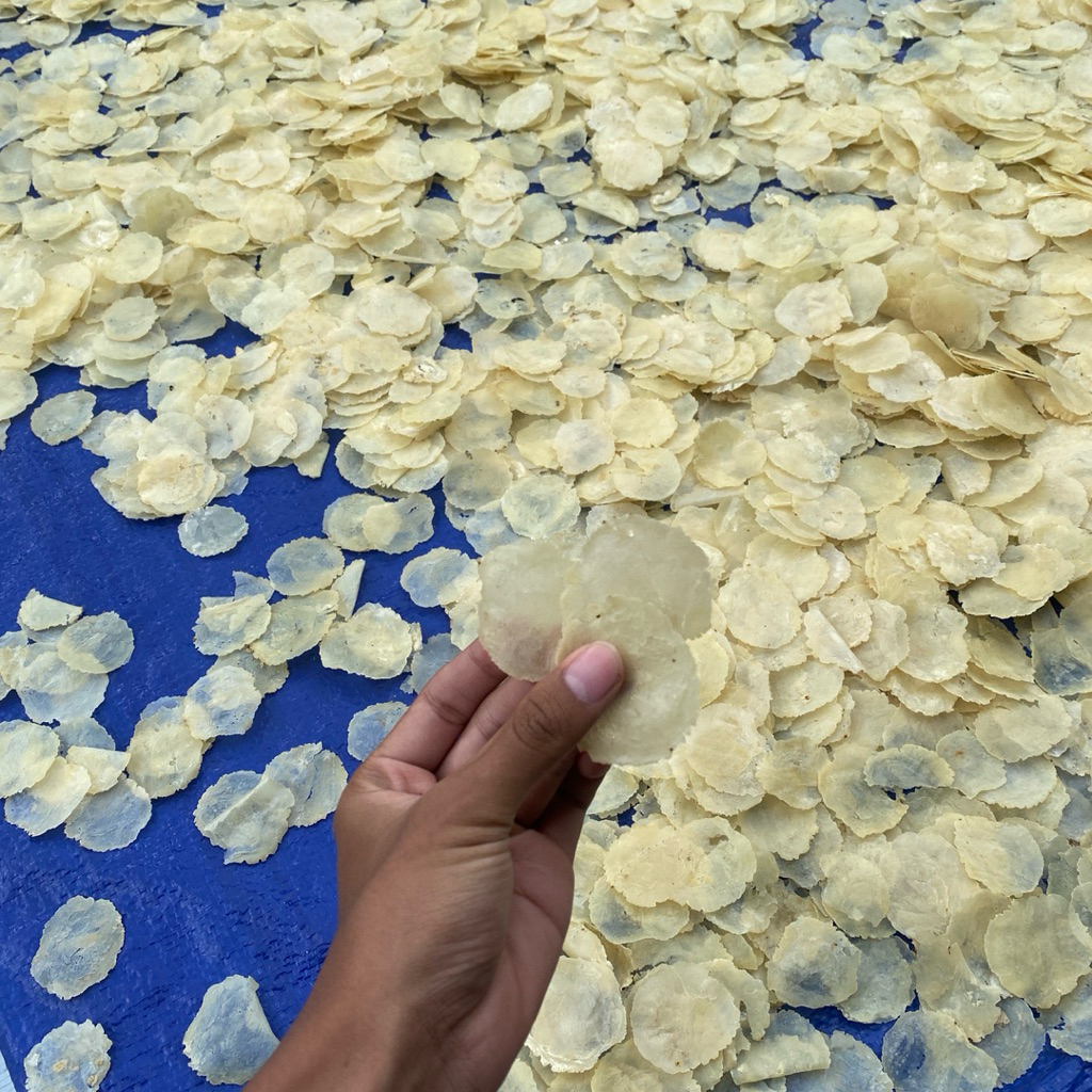 

Emping Melinjo Premium 500gram ukuran (Sp)– Gurih Asli Kota Limpung