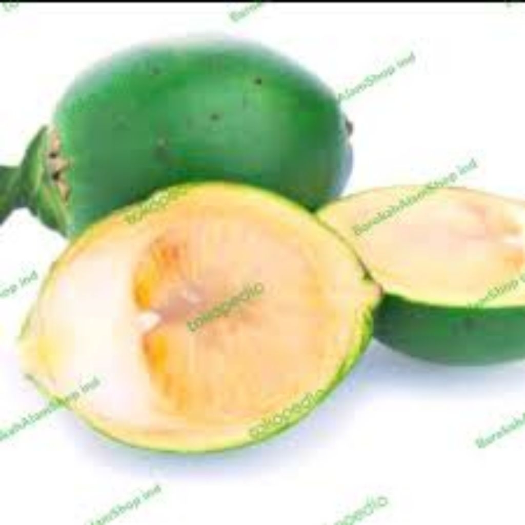 

Buah Jambe Buah Pinang Muda Segar 1 Kg