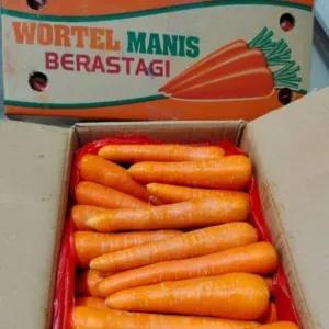 

kirim instan/sameday(wortel berastagi 500g)