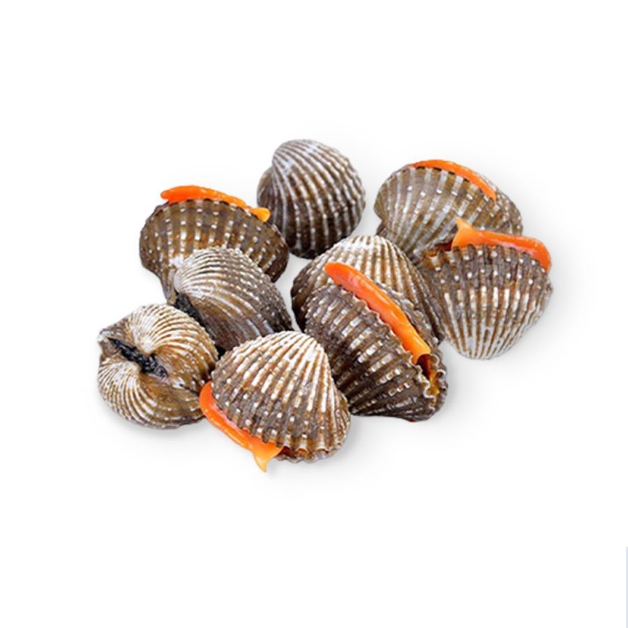 

Kerang Dara Segar Fresh Bibik Sayur Palembang