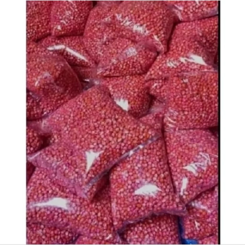 1KG Benih Jagung Perkasa Super Siap Tanam