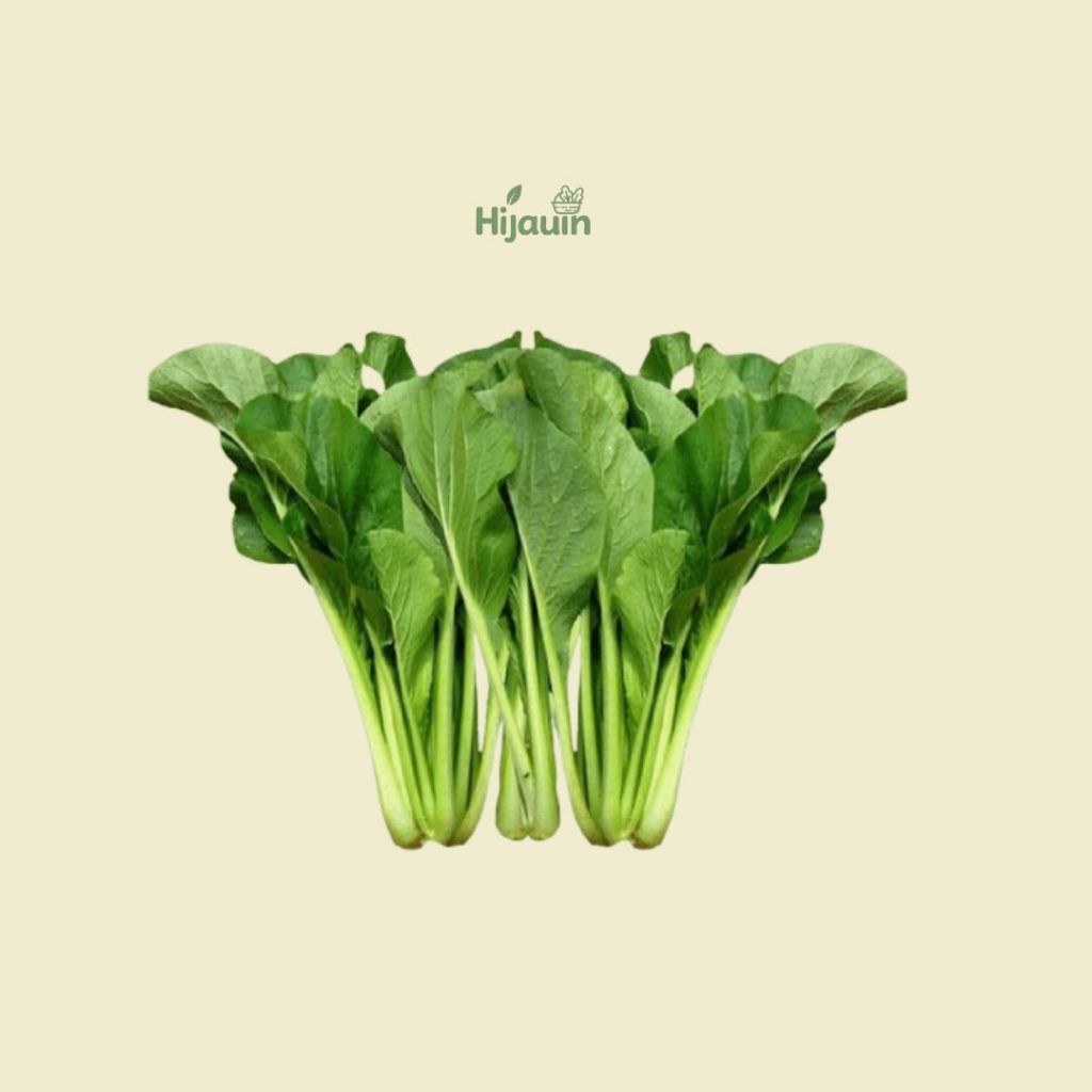 

Sawi Hijau/Caisim segar 250gr