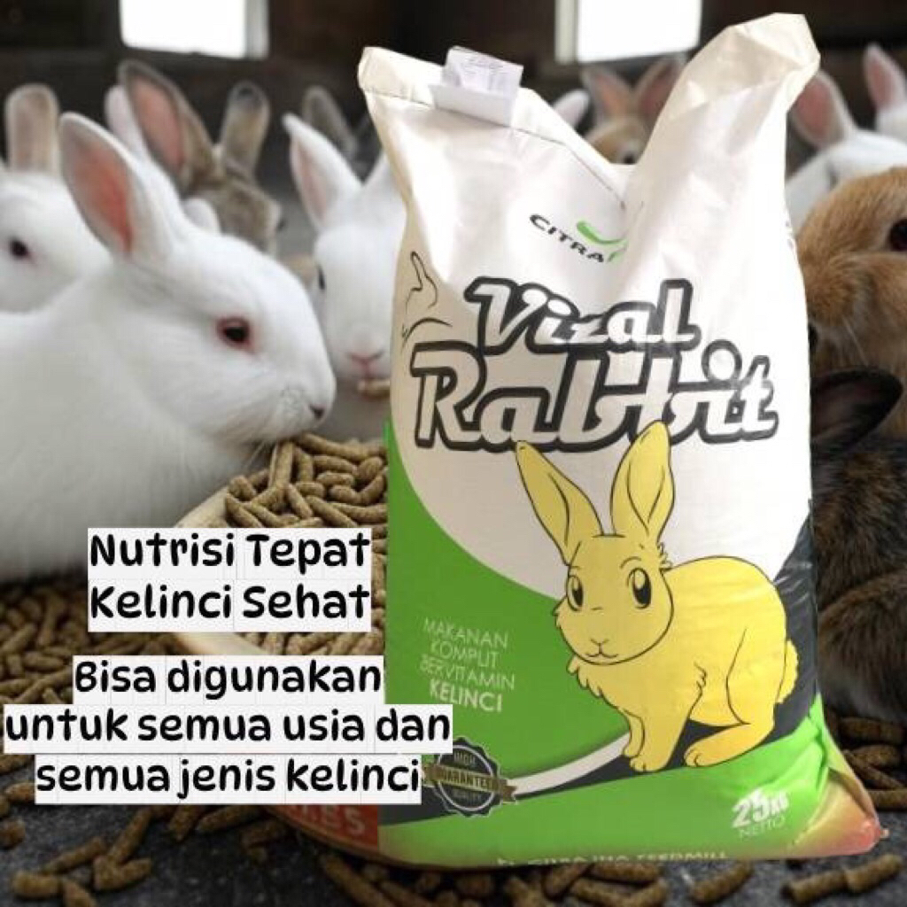 Citra Feed Vital Rabbit Pelet Pakan Kelinci Marmut 1 Karung