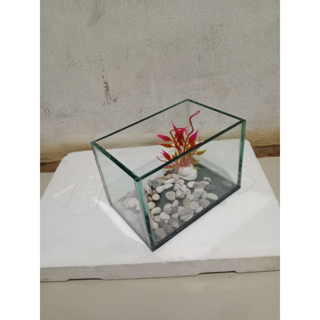 Soliter kaca 15*10*10 plus hiasan // aquarium mini tempat ikan cupang // Soliter cupang // ikan gupp
