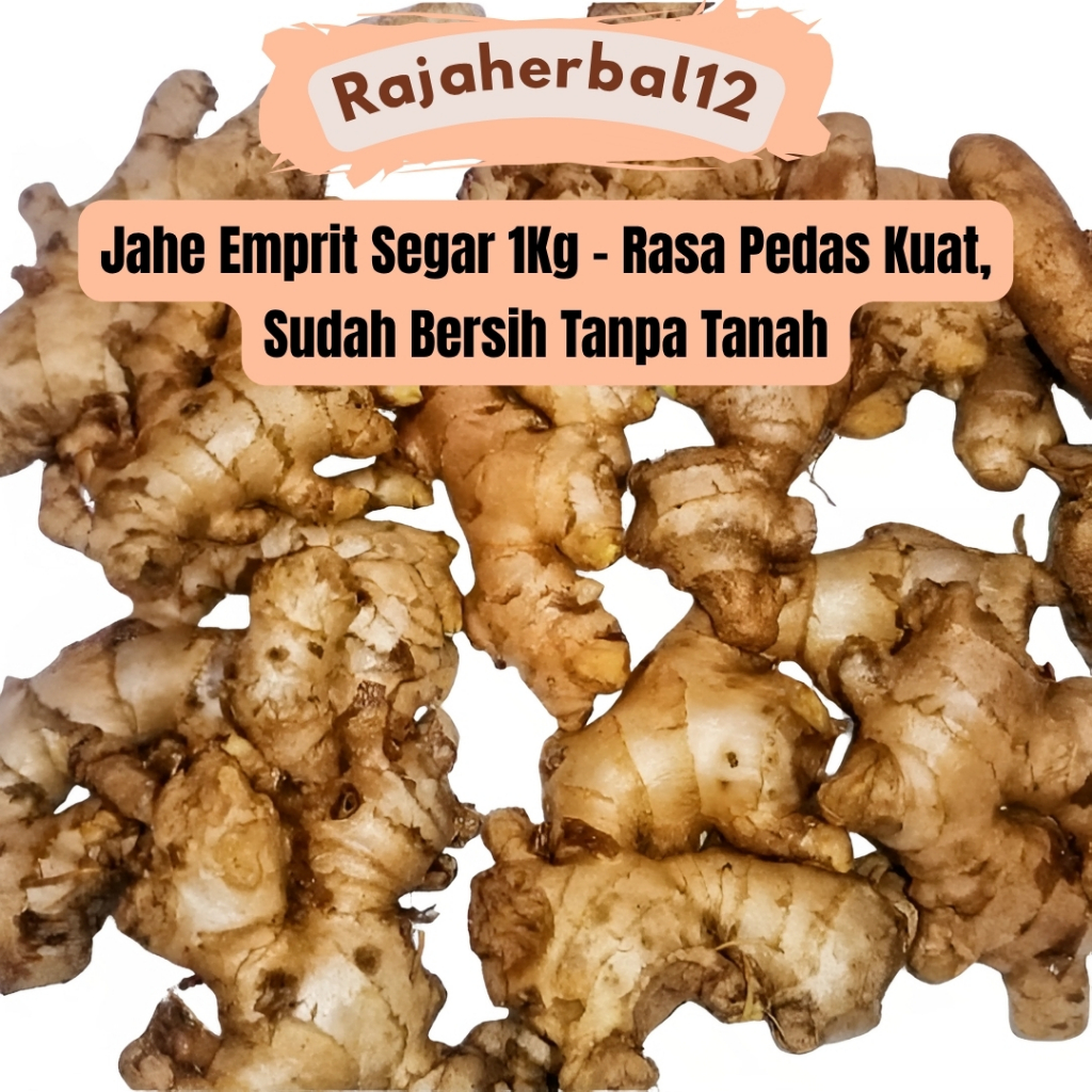 

Rajahherbal12 Jahe Emprit Segar 1Kg - Rasa Pedas Kuat Sudah Bersih Tanpa