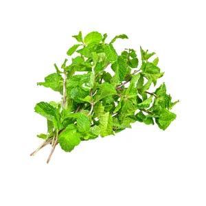 

daun mint 100g