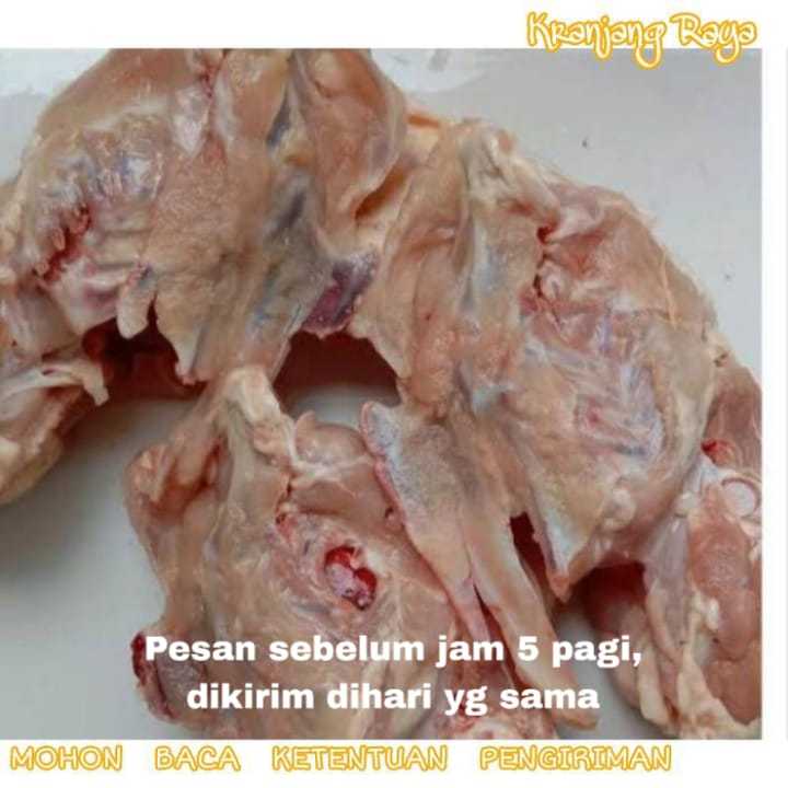 tulang ayam / kerongkong