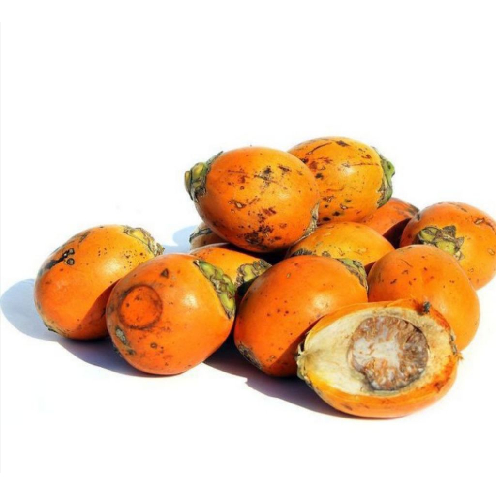 

buah Jambe tua/pinang/jebug