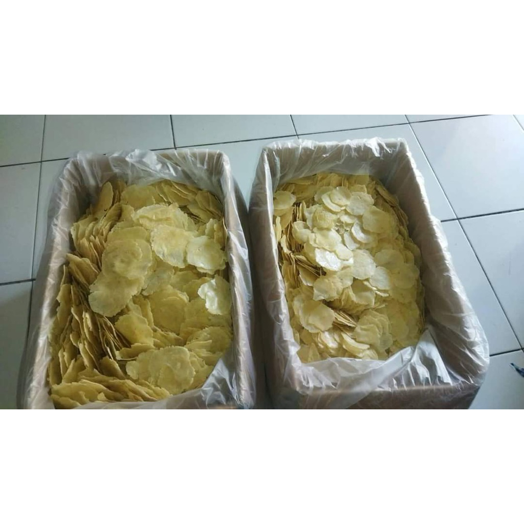 

EMPING MELINJO MENTAH