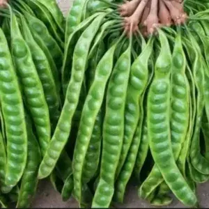 

PETE KERIS SUPER 1 PAPAN