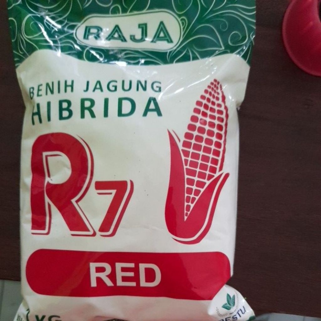 (Benih jagung) R7