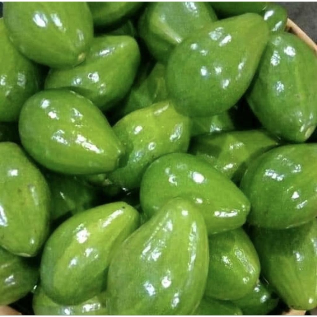 

Buah alpukat mentega per 1 kg
