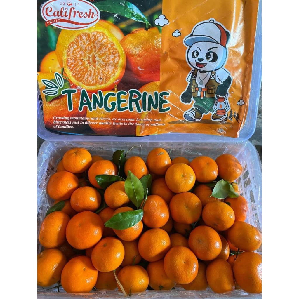 

JERUK SANTANG TANGERIN 1 KERANJANG 6kg