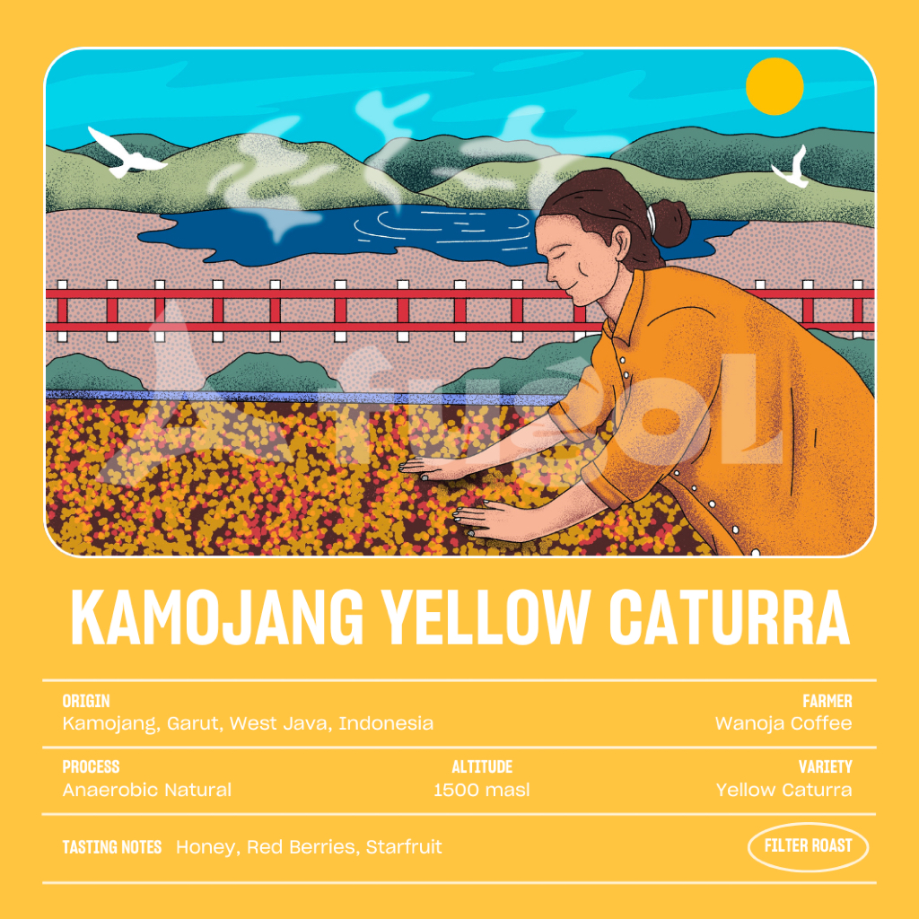 

Biji Kopi Arabica Kamojang Yellow Caturra (150gr) Specialty Arabica Coffee Beans