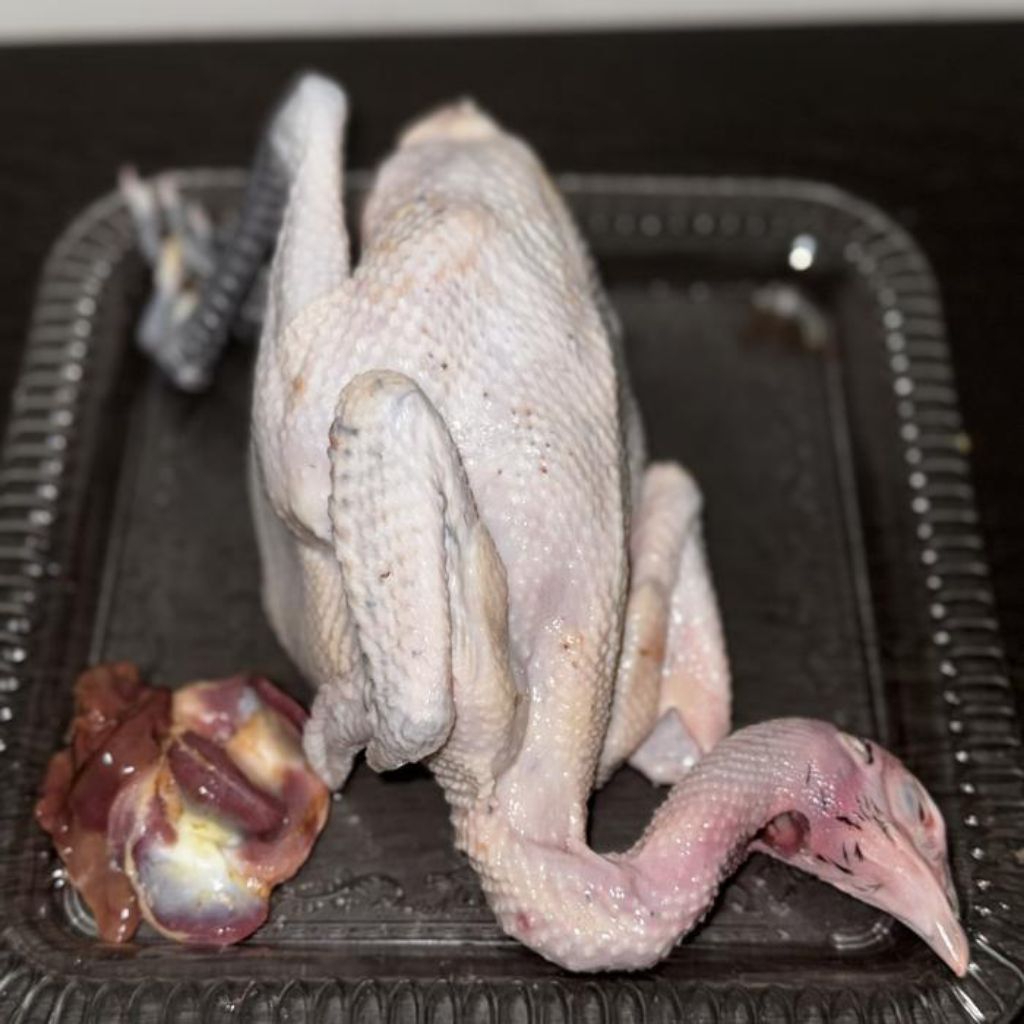 

Daging Ayam Kampung Utuh Fress Bb 08,09,1