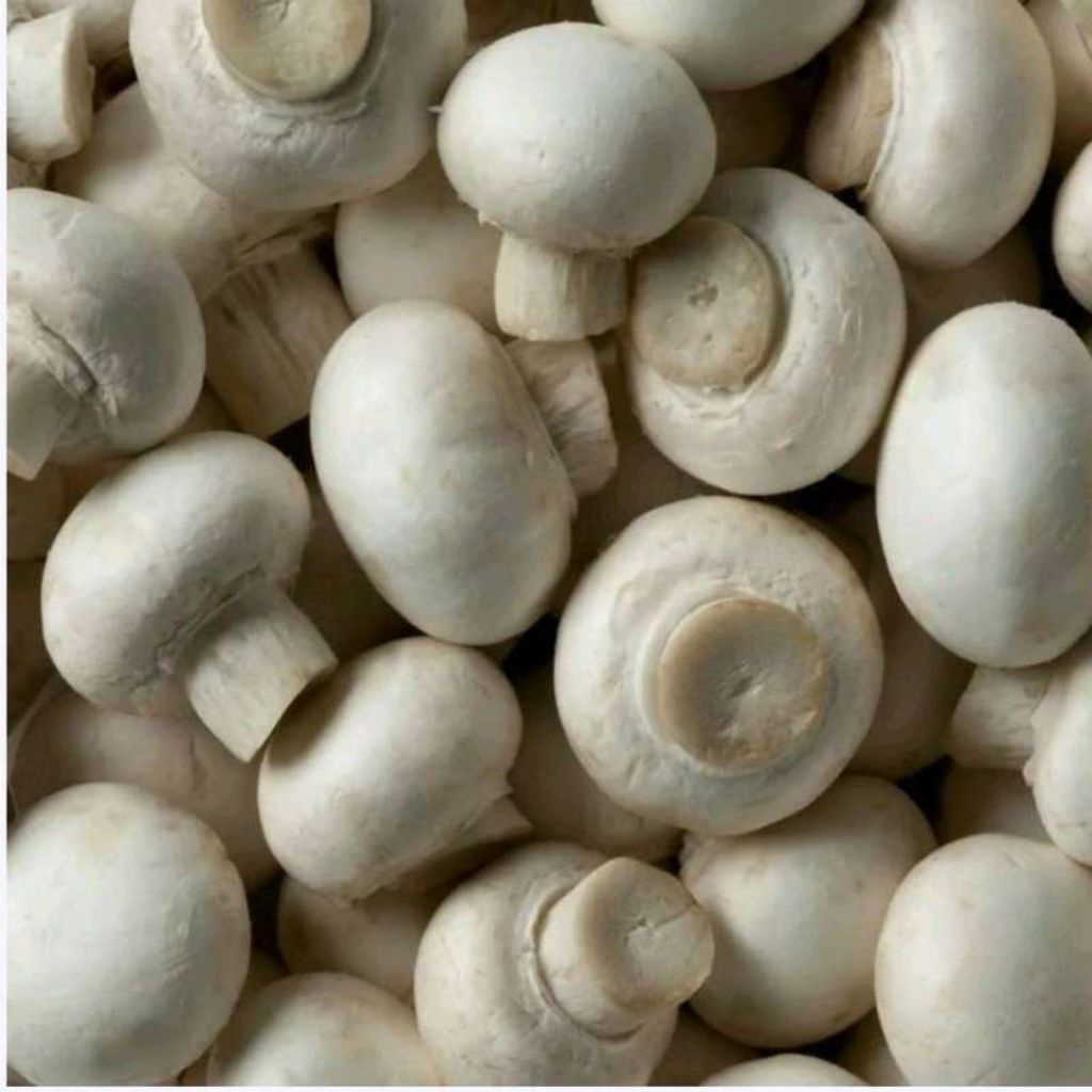 

Jamur Kancing (Sitake) 250 gram