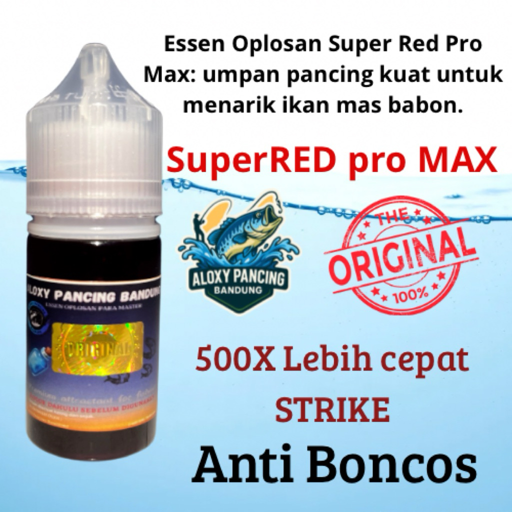 Essen umpan ikan mas paling gacor