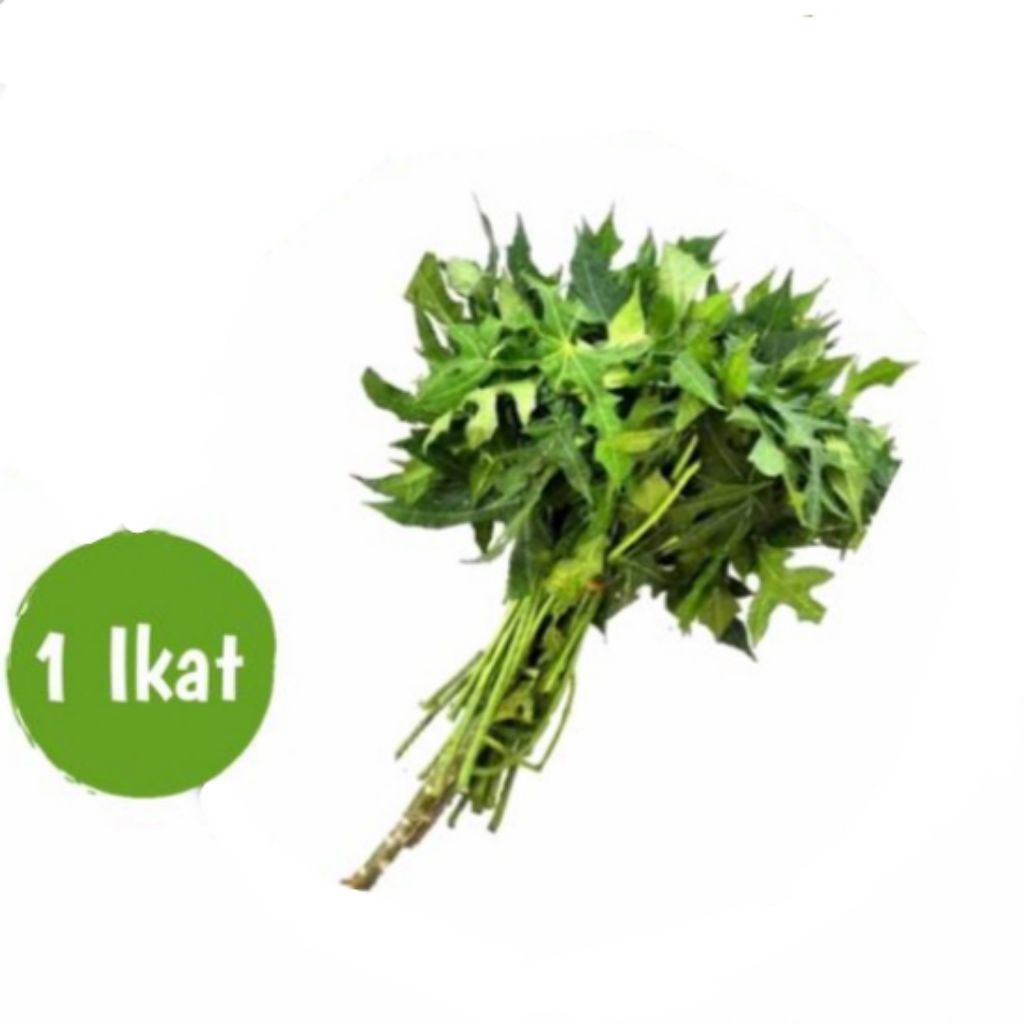 

Daun pepaya 1 ikat