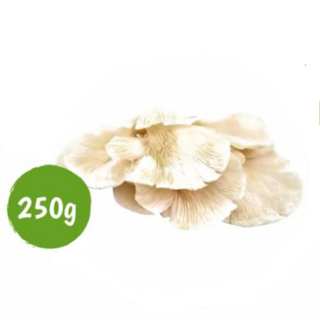 

Jamur putih 250g