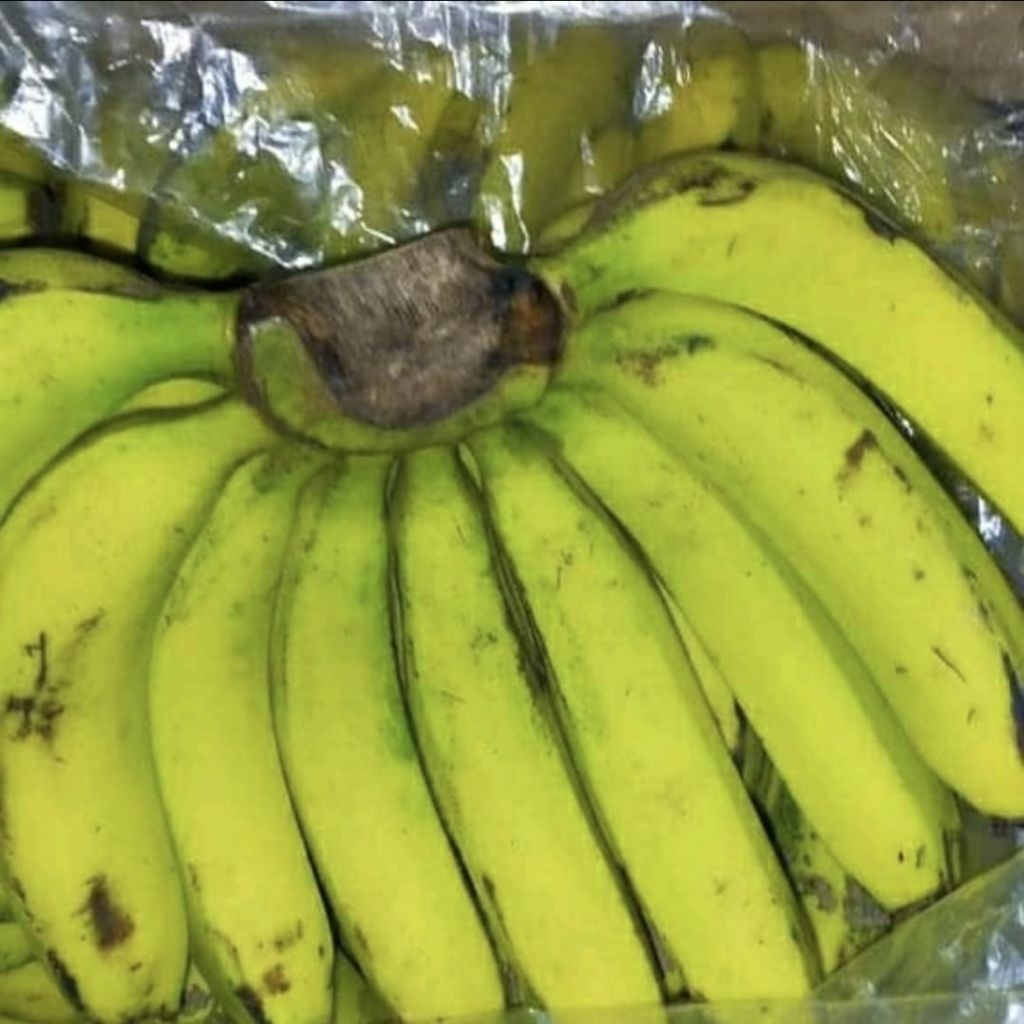 

Buah pisang ambon 1 sisir