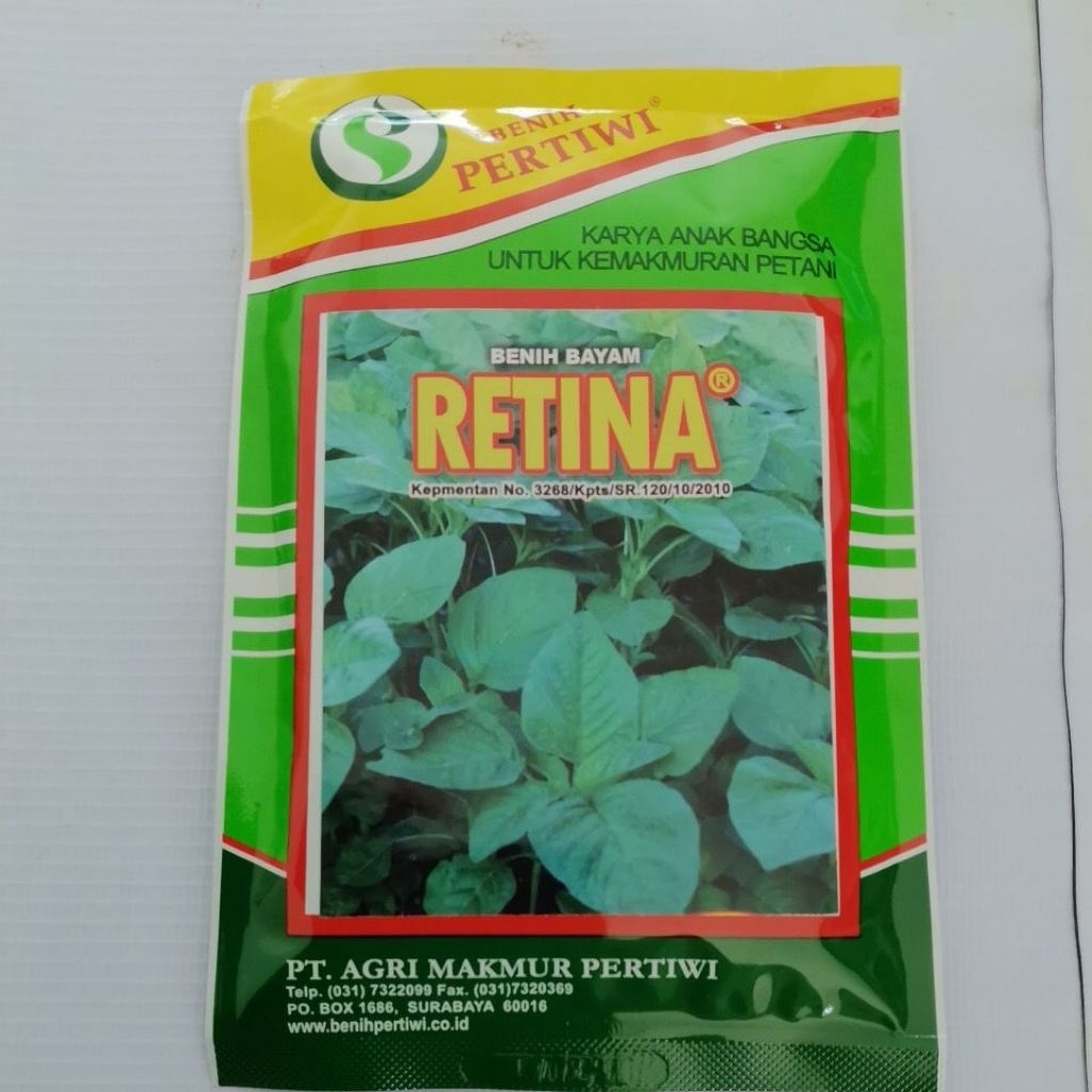 RETINA