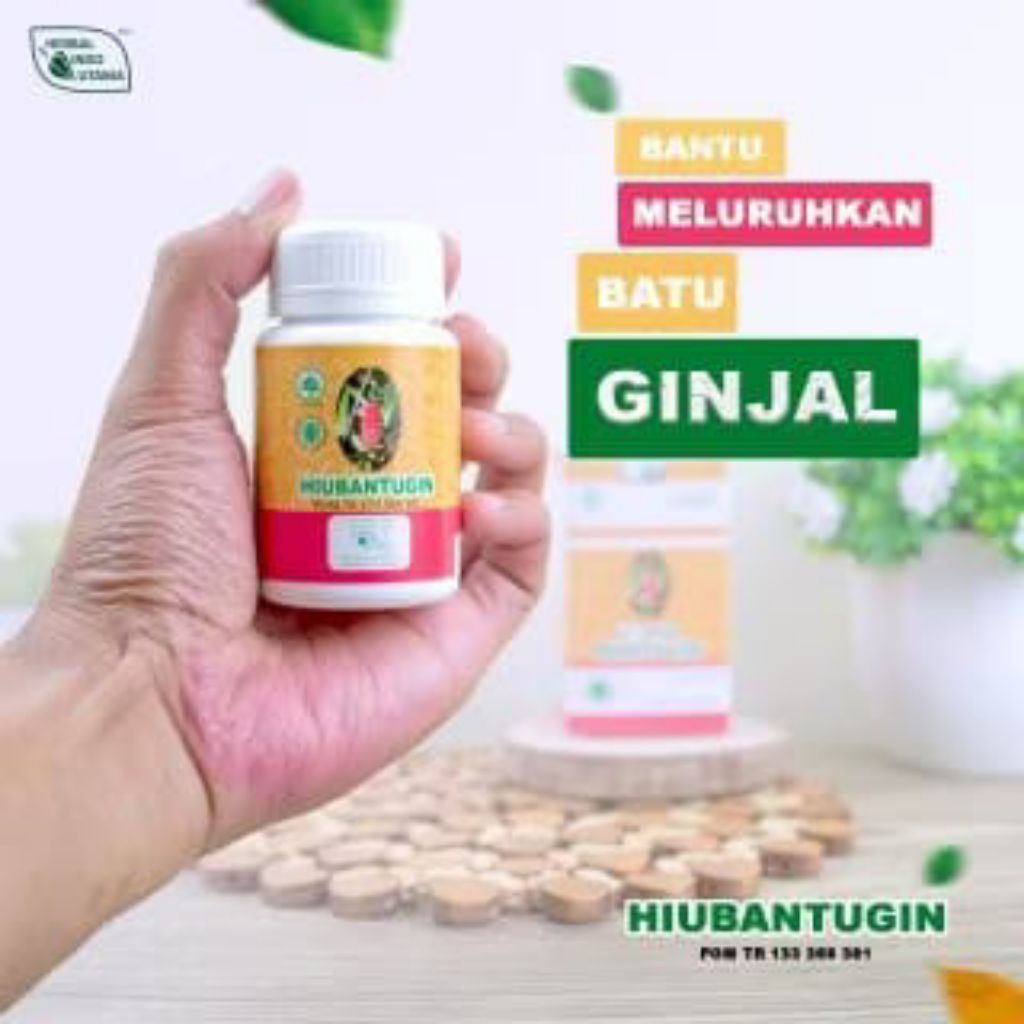 

Herbal Indo Utama HIU Bantugin Herbal Batu Ginjal Kemih Empedu