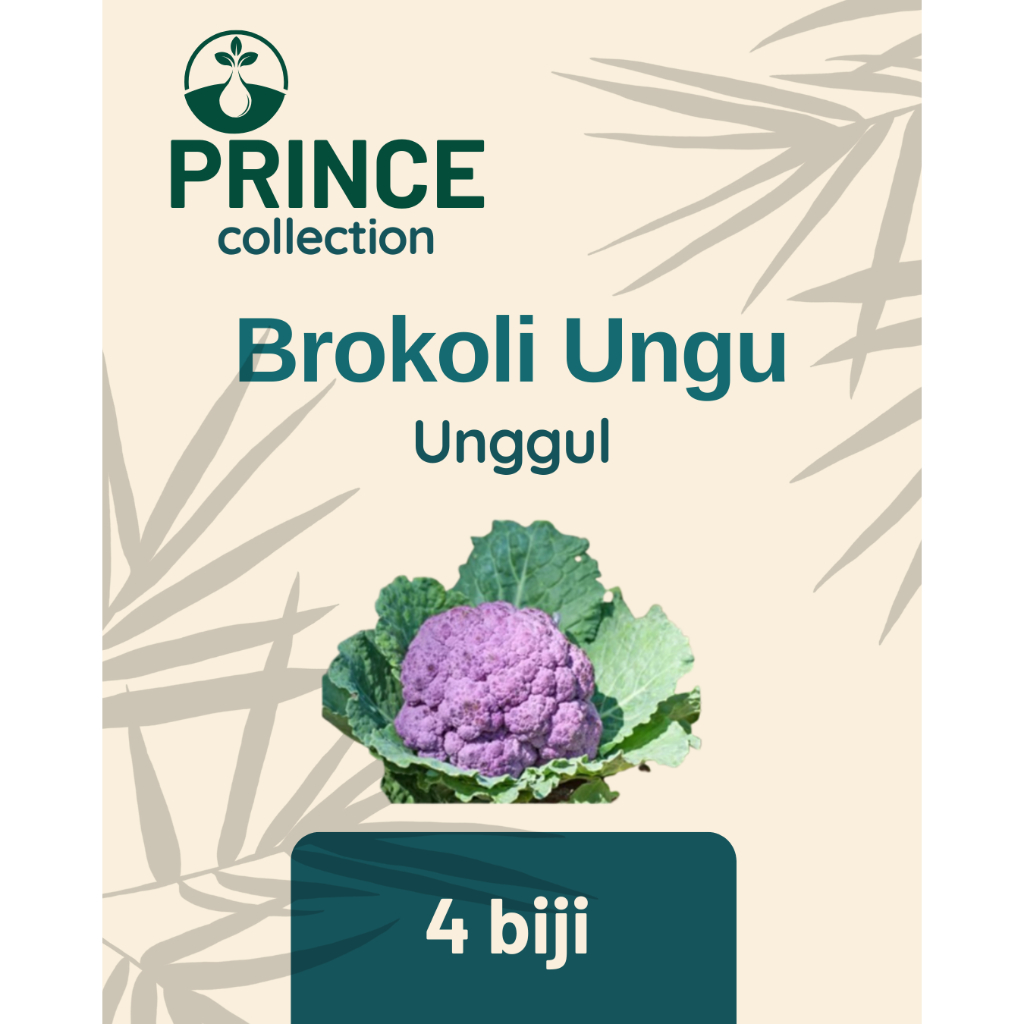 Bibit Seribuan - 4 Bibit Benih Sayuran Brokoli Ungu seribuan