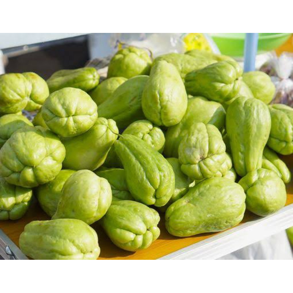

Labu siam fresh besar murah(harga per Pcs) 400gram
