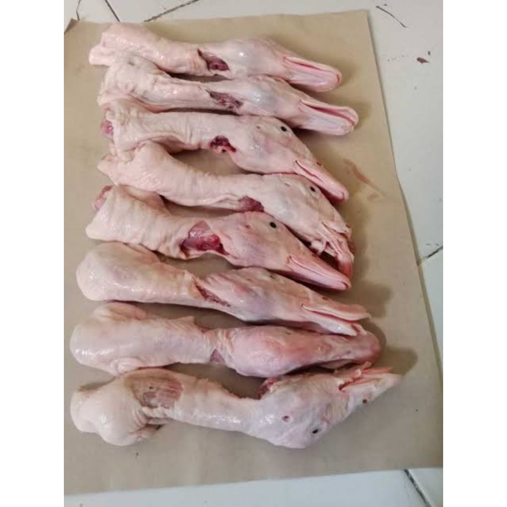 

Kepala Bebek