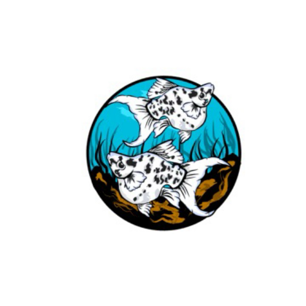 stiker guppy rijekan