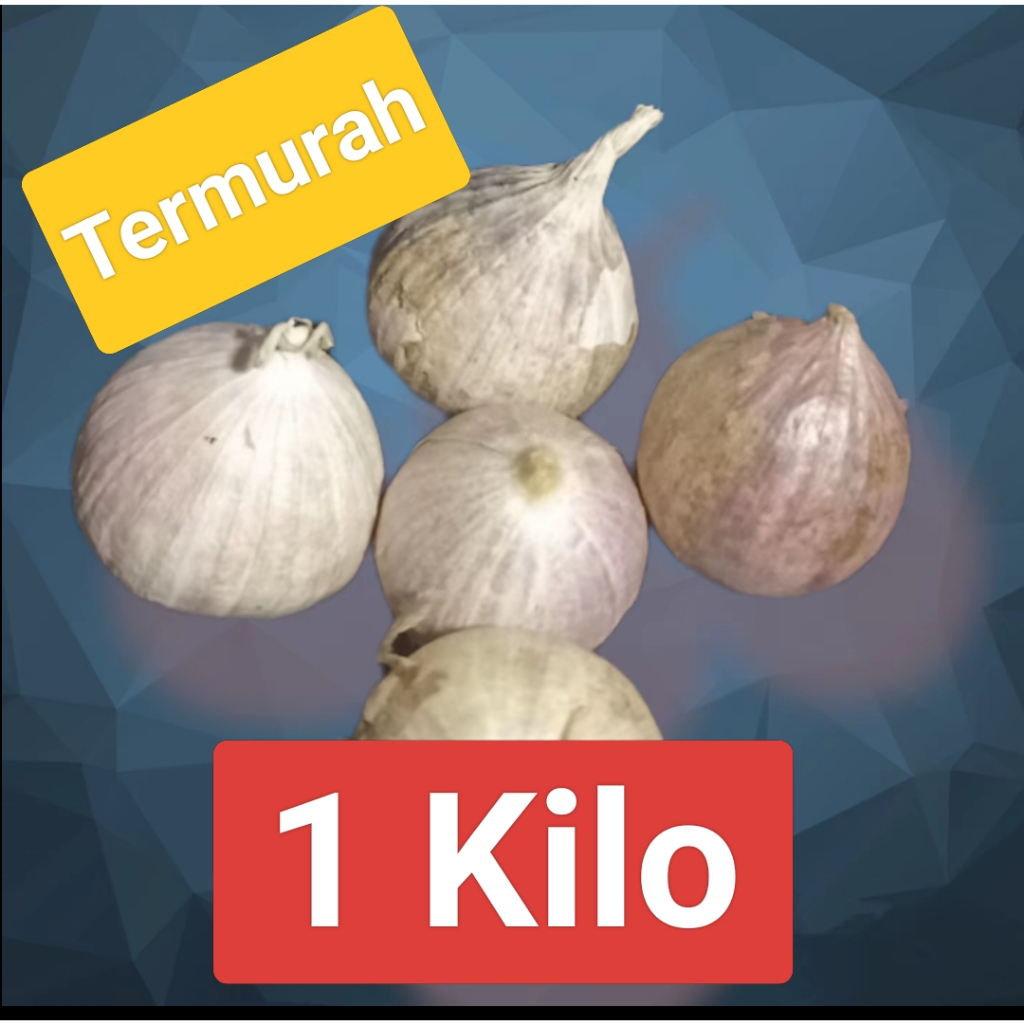 

Bawang putih tunggal lanang 1 KG