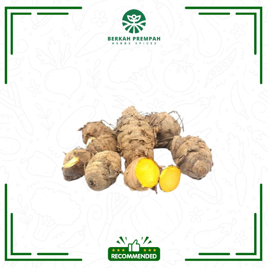 

Biang kunyit / empu kunyit segar - Berkahprempah