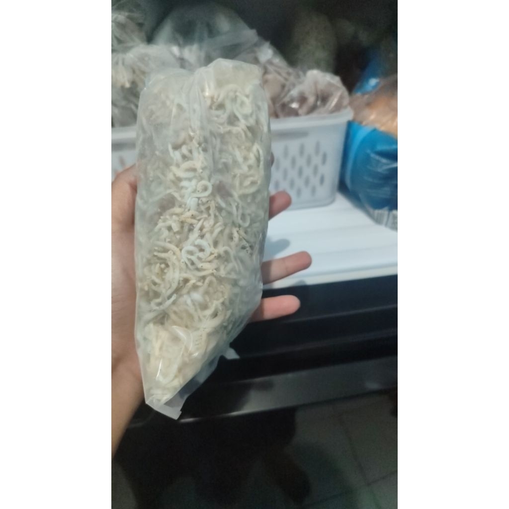 

ikan asin teri medan